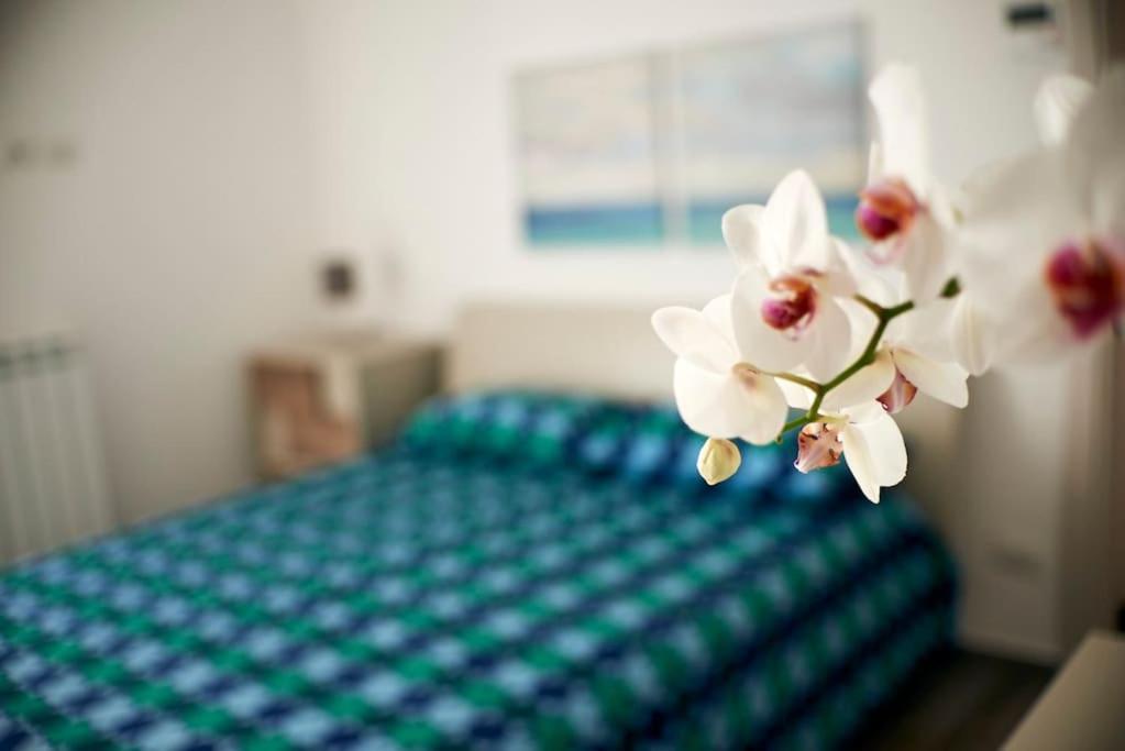 San Vito Apartament 폴리나노 아마레 외부 사진